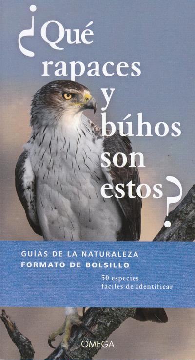 ¿Qué rapaces y búhos son estos?