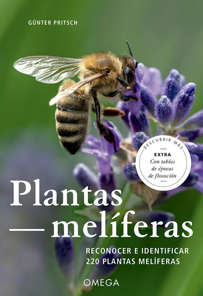 Plantas melíferas . Reconocer e interpretar 220 plantas melíferas