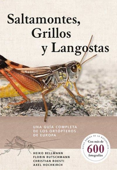 Saltamontes, grillos y langostas