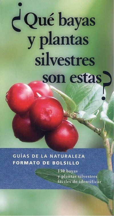 ¿Qué bayas y plantas silvestres son estas?