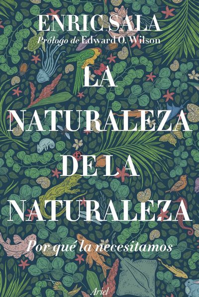 La naturaleza de la naturaleza