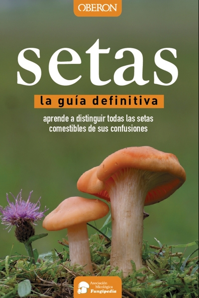 Setas. La guía definitiva