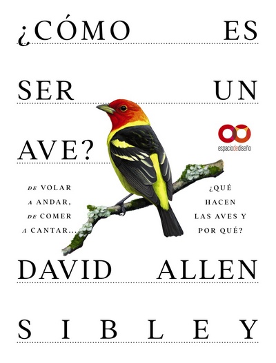 ¿Cómo es ser un ave?. ¿Qué hacen las aves y por qué?