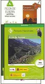 Guía Picos de Europa (pack con DVD)