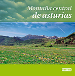 Montaña central de Asturias