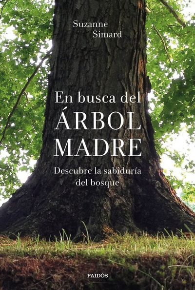 En busca del árbol madre