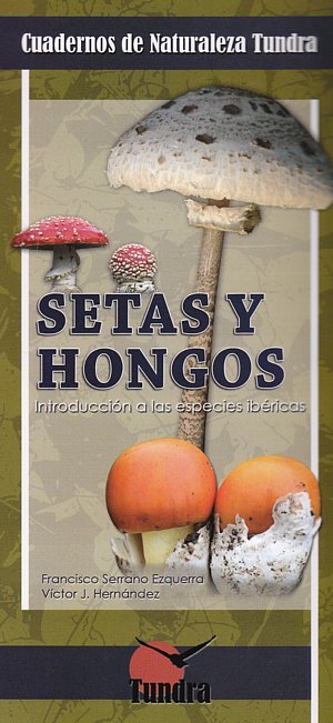 Setas y hongos. Introducción a las especies ibéricas