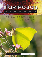Mariposas diurnas de la provincia de Ávila