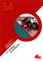 5.4 Psicología de emergencias. Manual del bombero. Vol. 5 Organización y desarrollo profesional