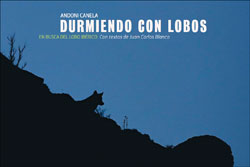 Durmiendo con lobos. En busca del lobo Ibérico