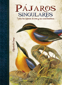 Pájaros singulares. Todas las especies de aves y sus características