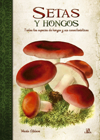 Setas y hongos. Todas las especies de hongos y sus características