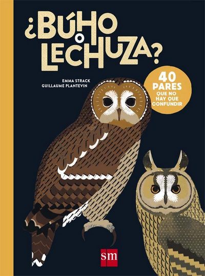 ¿Búho o lechuza?