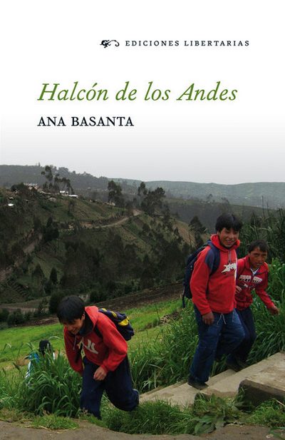 Halcon De Los Andes
