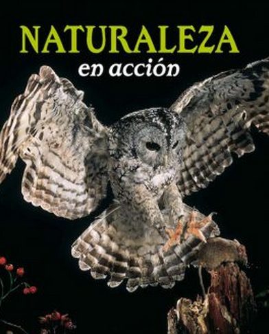 Naturaleza en acción