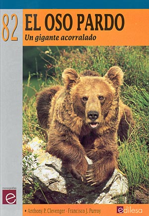 El oso pardo. Un gigante acorralado