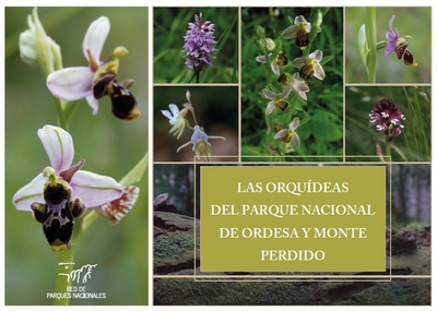Las orquídeas del parque nacinaal de Ordesa y Monteperdido