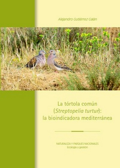 La tórtola común (Streptopelia turtur): La bioindicadora mediterránea.