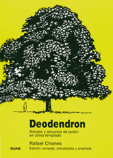 Deodendron. Árboles y arbustos de jardín en clima templado