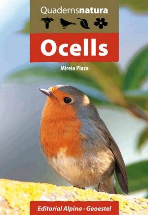 Ocells