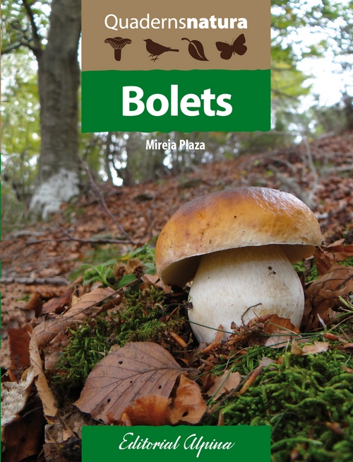 Bolets