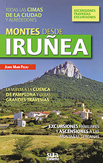 Montes desde Iruñea