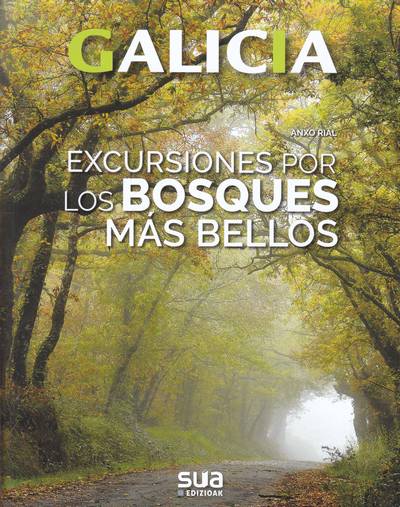 Excursiones por los bosques más bellos en Galicia