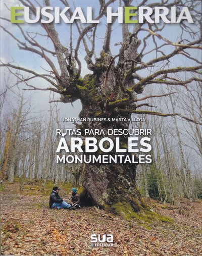 Rutas para descubrir árboles monumentales 