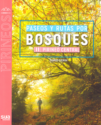 Paseos y rutas por bosques 