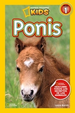 Ponis (Nivel 1)