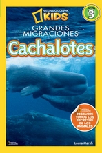 Cachalotes (Nivel 3). Grandes migraciones