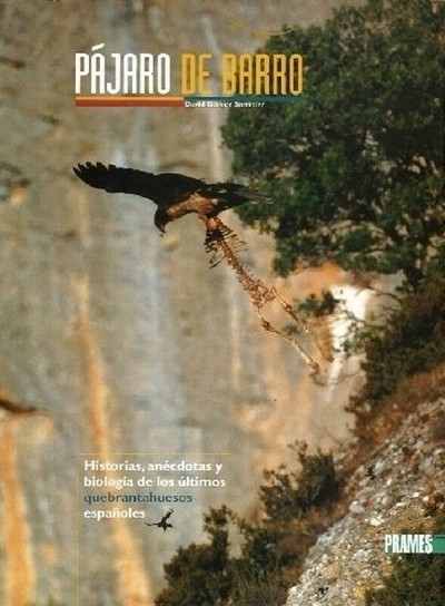 Pájaro de barro