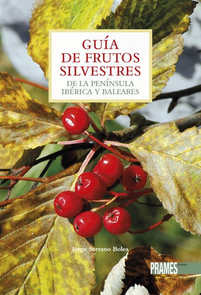 Guía de frutos silvestres de la Península Ibérica
