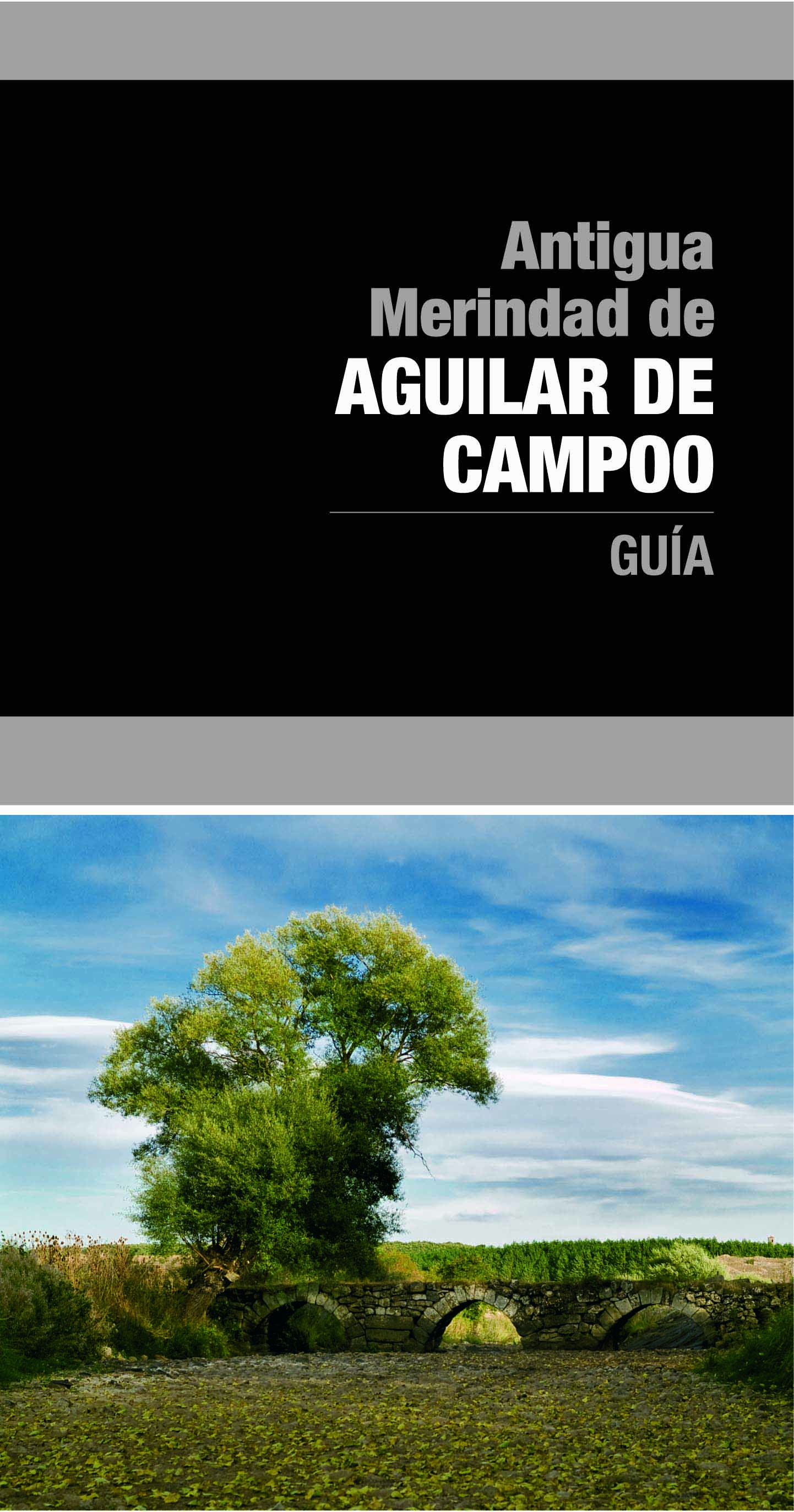 Antigua Merindad de Aguilar de Campoo. Guía