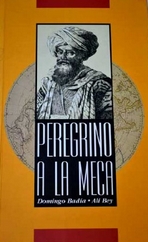 Peregrino a la meca