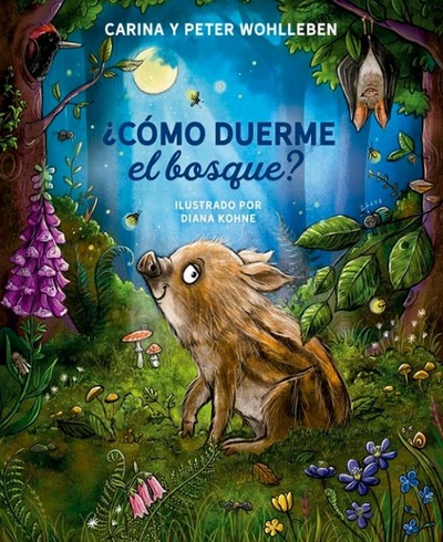 ¿Cómo duerme el bosque?