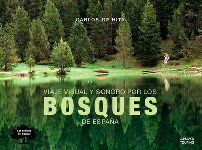 Viaje visual y sonoro por los bosques de España 