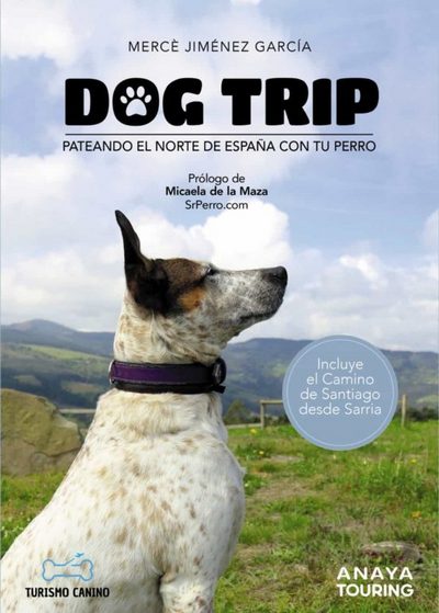 Dog trip . Pateando el norte de España con tu perro