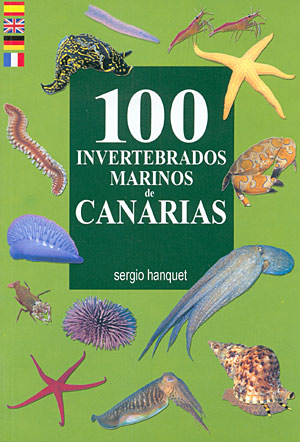 100 invertebrados marinos de Canarias