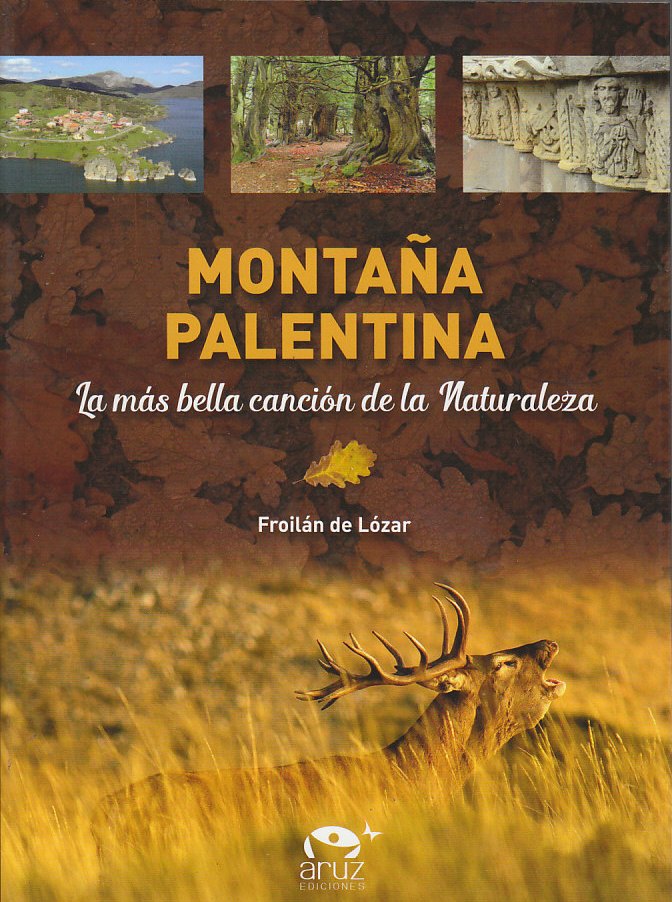 Montaña palentina