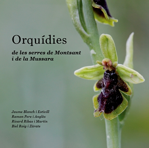 Orquídies de les serres de Montsant i de la Mussara