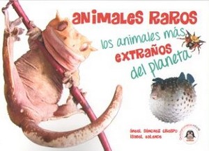 Animales raros. Los animales más extraños del planeta