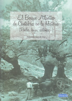 El bosque atlántico de Cantabria en la historia