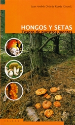 Hongos y setas. Tesoro de nuestros montes