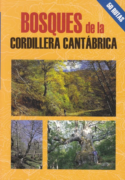 Bosques de la Cordillera Cantábrica