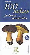 100 setas fácilmente identificables