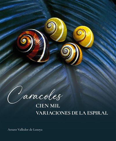 Caracoles: cien mil variaciones de la espiral