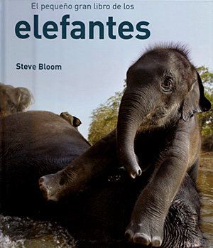 El pequeño gran libro de los elefantes