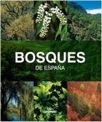 Bosques de España