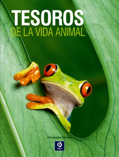 Tesoros de la vida animal